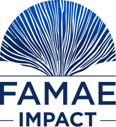 FAMAE Impact